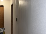 IMG_3153